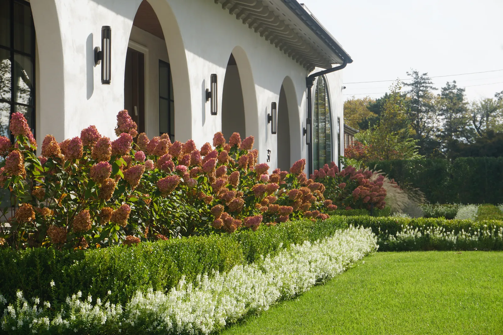 Hydrangeas, boxwood and white flowers banked along the arcade, with lawn in the foreground