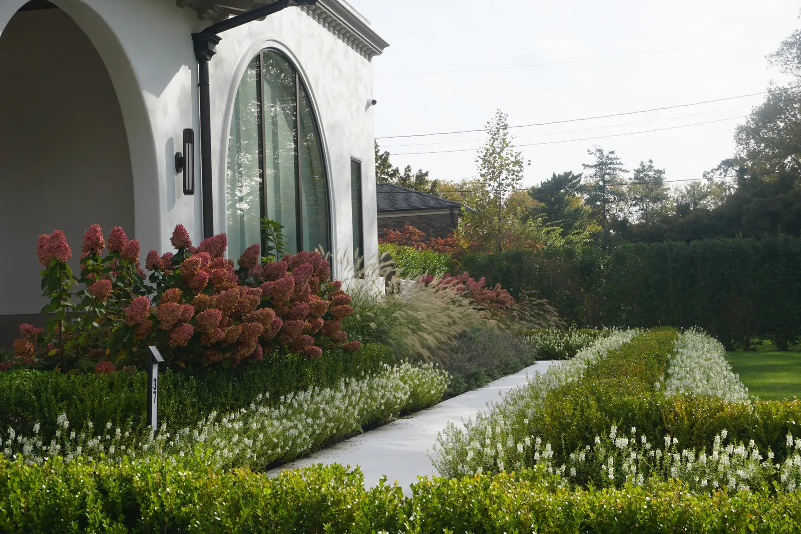 Walk between clipped boxwood hedges edged in white flowers, hydrangeas beside the arched window