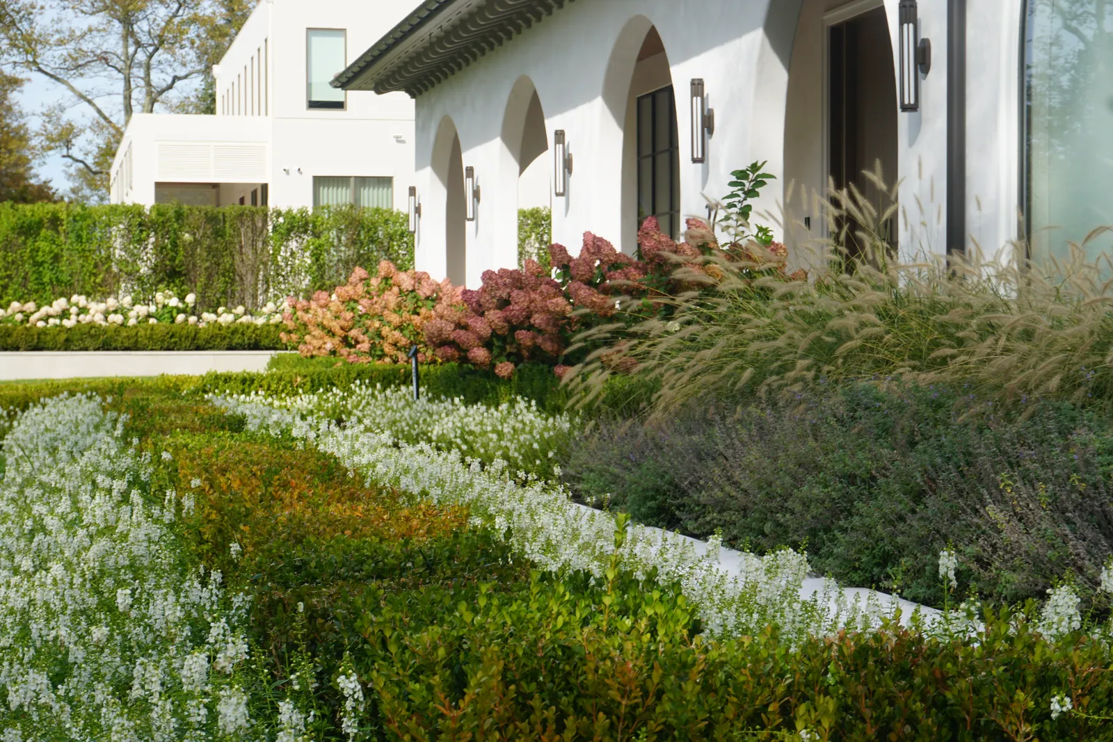 Curving bands of boxwood and white flowers sweeping toward the house, with grasses and hydrangeas