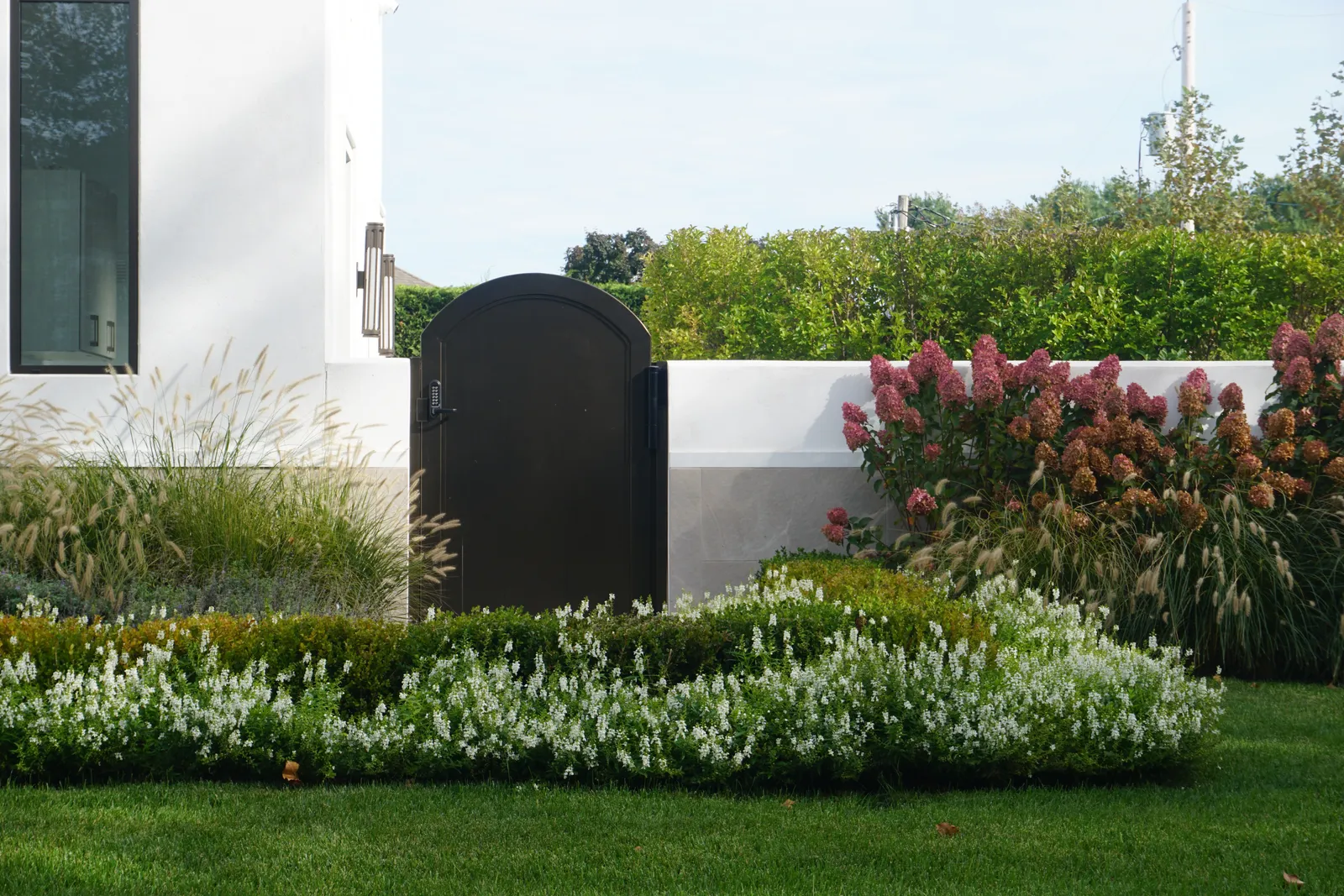 Arched gate in a stucco garden wall, framed by grasses, hydrangeas and a low hedge