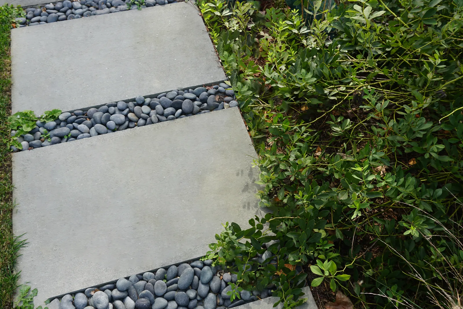 Stone stepping pads set in dark river pebbles beside low groundcover