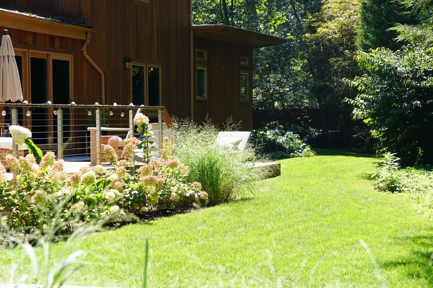 Lawn curving past hydrangeas and grasses toward the back of the house