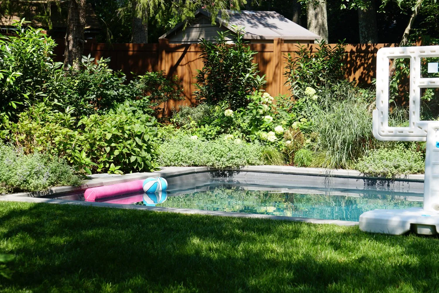 Pool framed by hydrangeas, perennials and shrubs along the fence